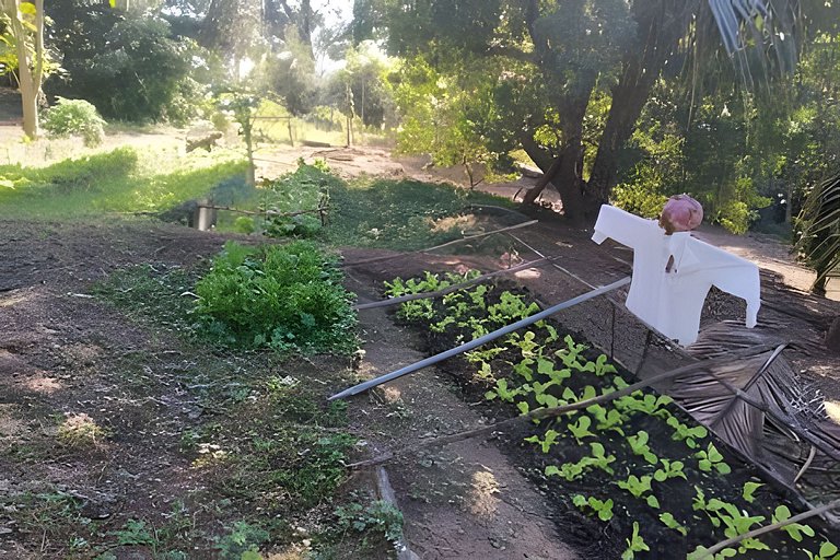 Sitio a 10min da Cidade Administrativa.