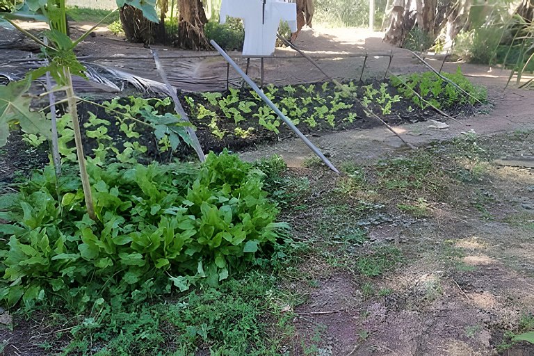 Sitio a 10min da Cidade Administrativa.