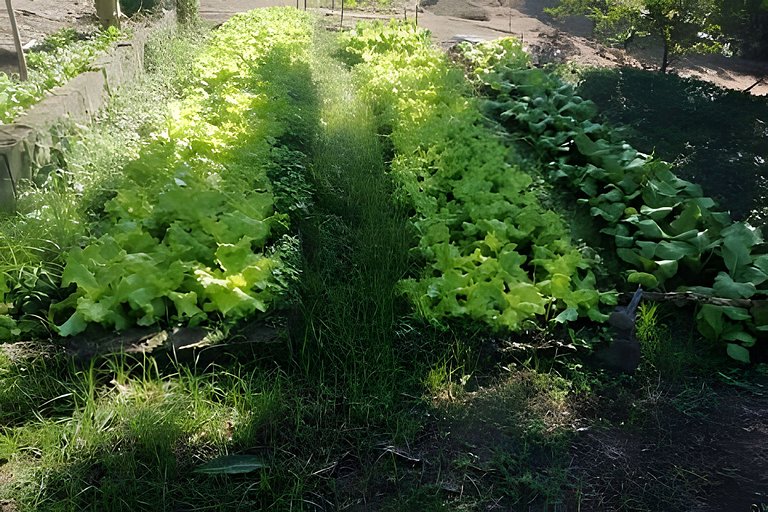 Sitio a 10min da Cidade Administrativa.