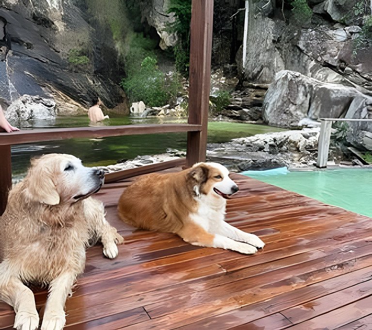 Sítio Piscina natural, Trilha e Cachoeira