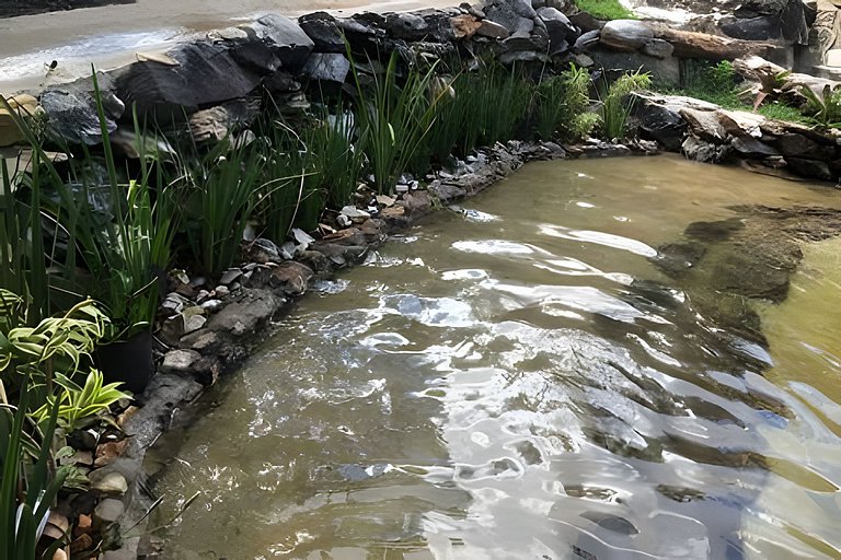 Sítio Piscina natural, Trilha e Cachoeira