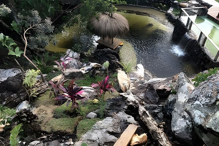 Sítio Piscina natural, Trilha e Cachoeira