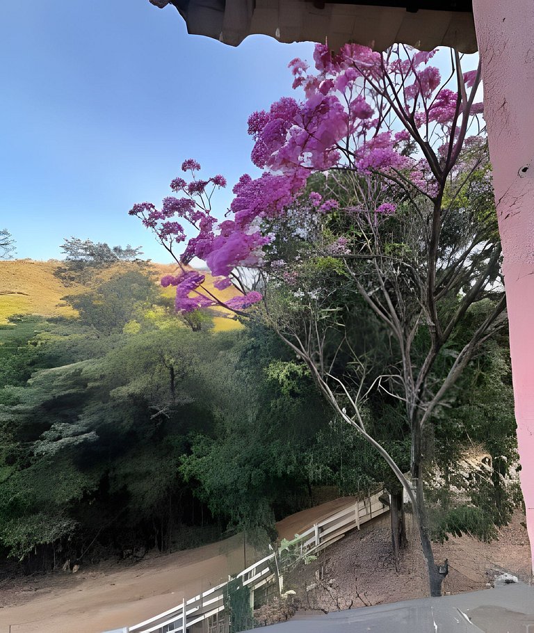 Chale com Hidromassagem em meio a Natureza